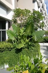Harbour View Gardens (D5), Apartment #542309671